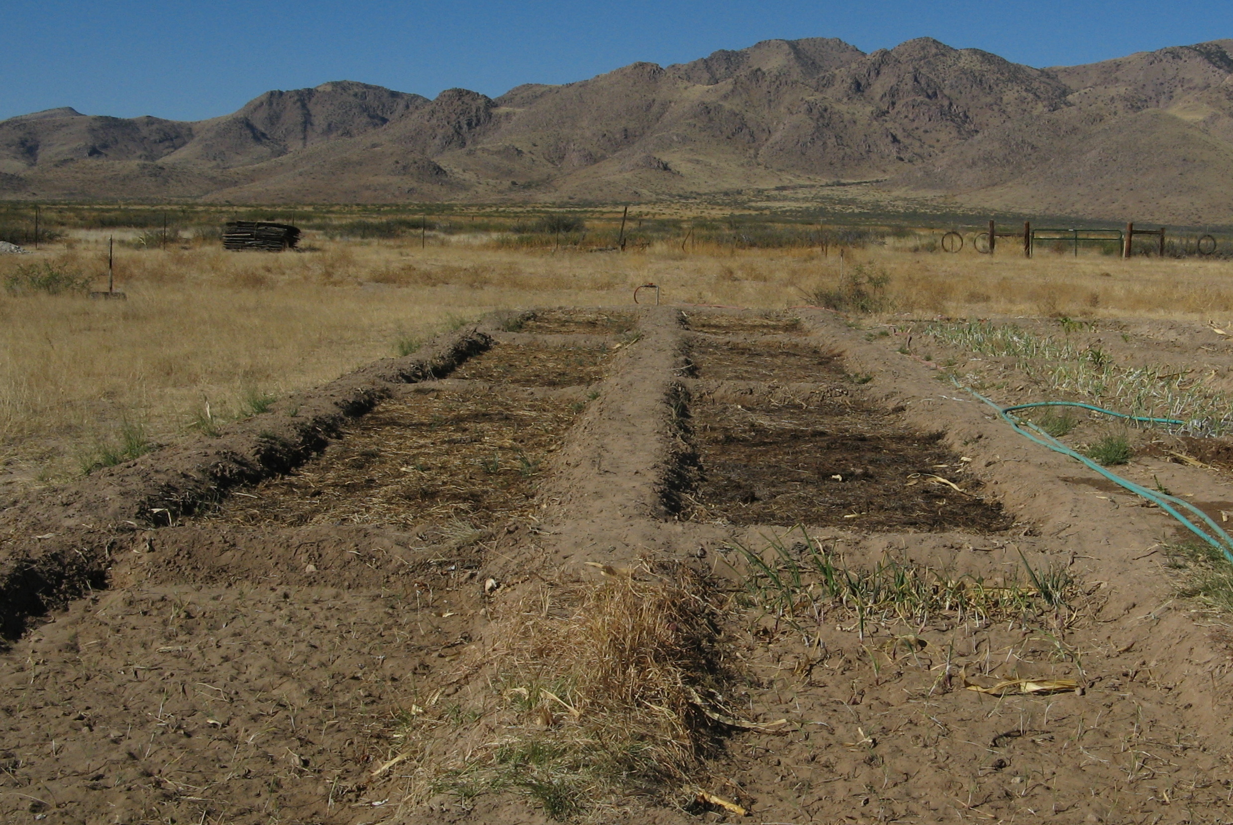 La Buena Vida Farm